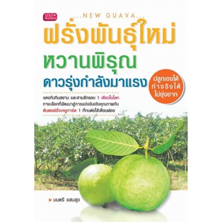 ฝรั่งพันธุ์ใหม่หวานพิรุณดาวรุ่งกำลังมาแรง