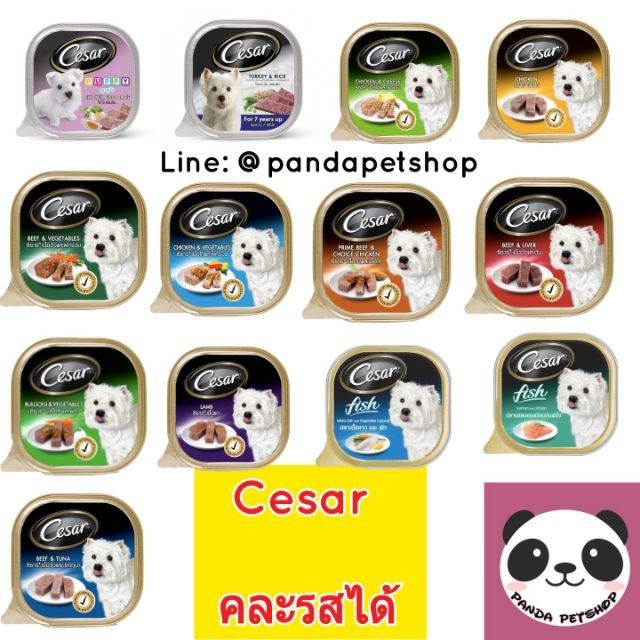 Cesar ×12ถาด อาหารเปียกสุนัข ซีซาร์ คละรสได้