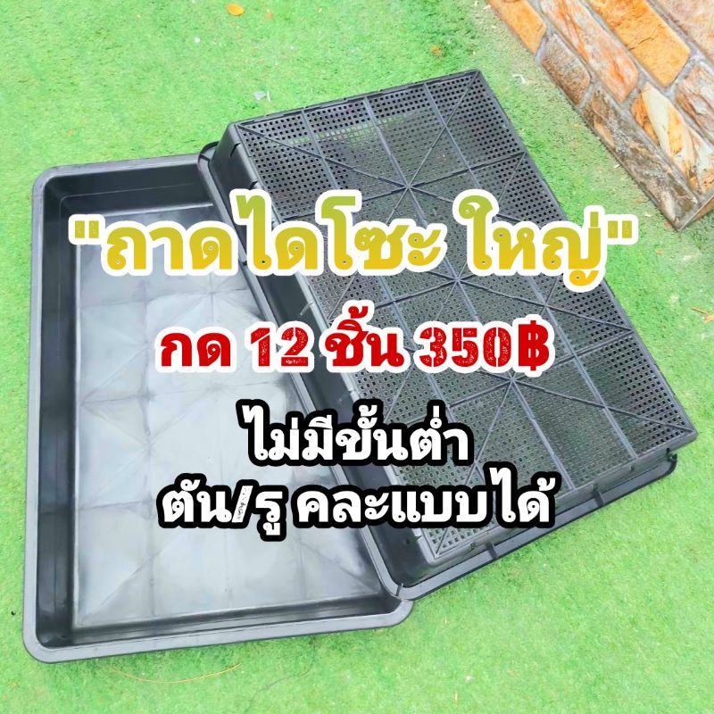 ถาดไดโซะ ใหญ่ // กด 12 ใบ 350฿ -- ถาดไดโซะ ทึบ ตัน ถาดมีรู ถาดเพาะ ต้นอ่อน แคคตัส กระบองเพชร