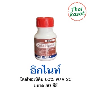 อิกไนท์ โคลไทอะนิดิน 60% ฤทธิ์แรง เขียวนาน กำจัดเพลี้ยไฟ ขนาด 50 ซีซี FMC