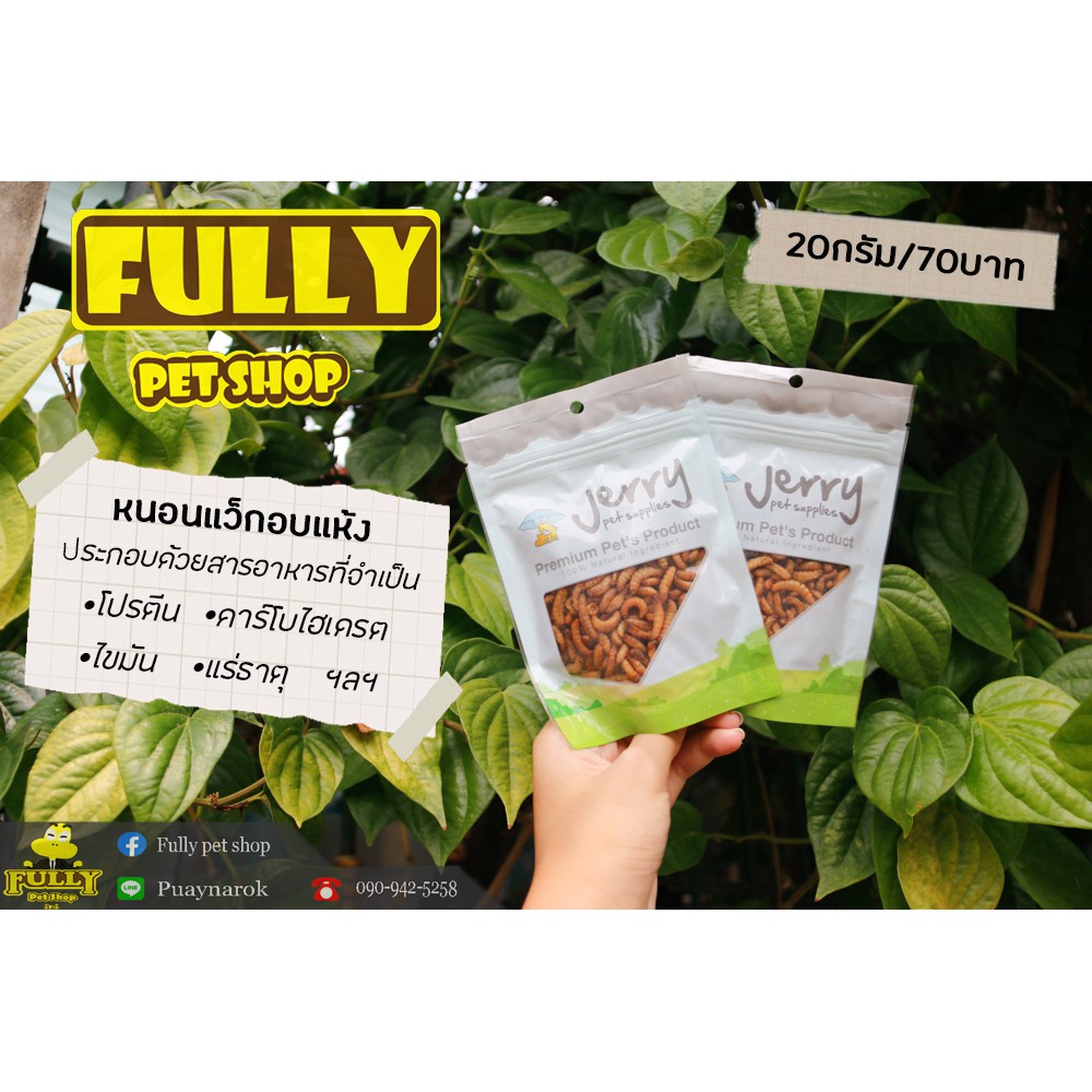 หนอนแว็กซ์อบแห้ง หนอนแว๊กอบแห้ง(สำหรับสัตว์เลี้ยง)