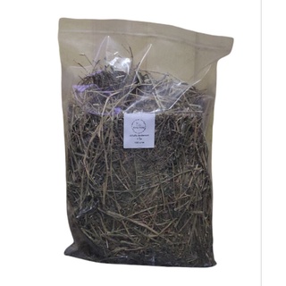 Alfalfa Anderson 1Kg