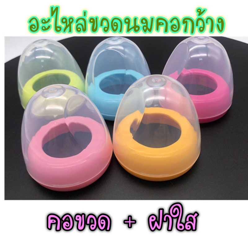 ฝาขวดนมคอกว้าง มีของในไทยพร้อมส่ง อะไหล่ขวดนมคอกว้าง ฝาเกลียว+ฝาใสครอบจุก