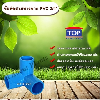 ข้อต่อสามทางฉาก PVC ตรา TOP 3/4”(6หุน) ข้อต่อสามทางฉากท่อPVC ขนาด 3/4นิ้ว หรือ 6หุน สามทางตั้งฉาก allaboutplants