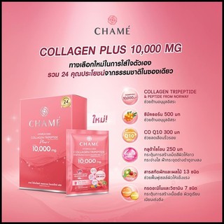 6 ซอง🐳CHAME collagen Hydrolyzed Collagen Tripeptide Plus คอลลาเจนอั้ม 10,000mg ชาเม่อั้ม ชาเม่ คอลลาเจนพลัส