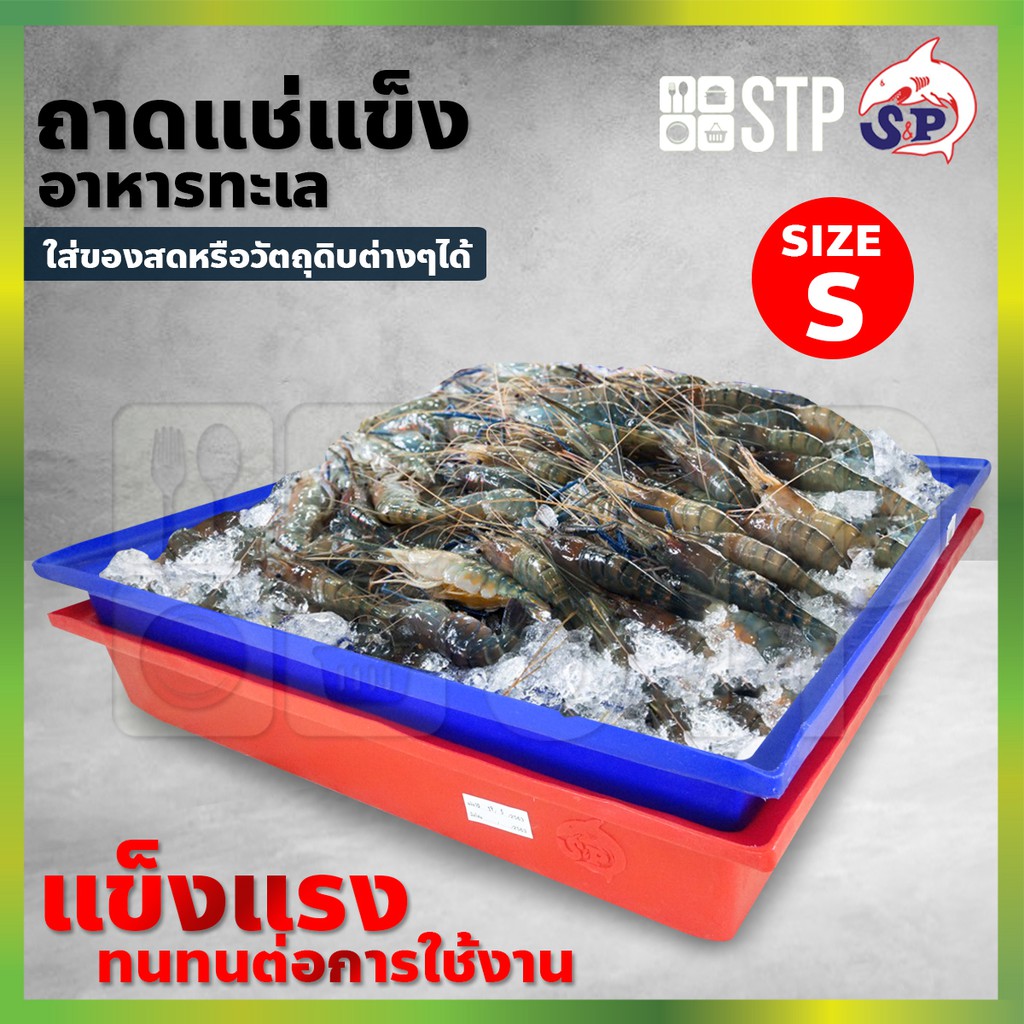 ถาดอาหารทะเล ถาดแช่แข็ง ถาดพลาสติก กระบะพลาสติกใส่อาหารทะเล กระบะแช่แข็ง กระบะพลาสติก Size S (40x59x