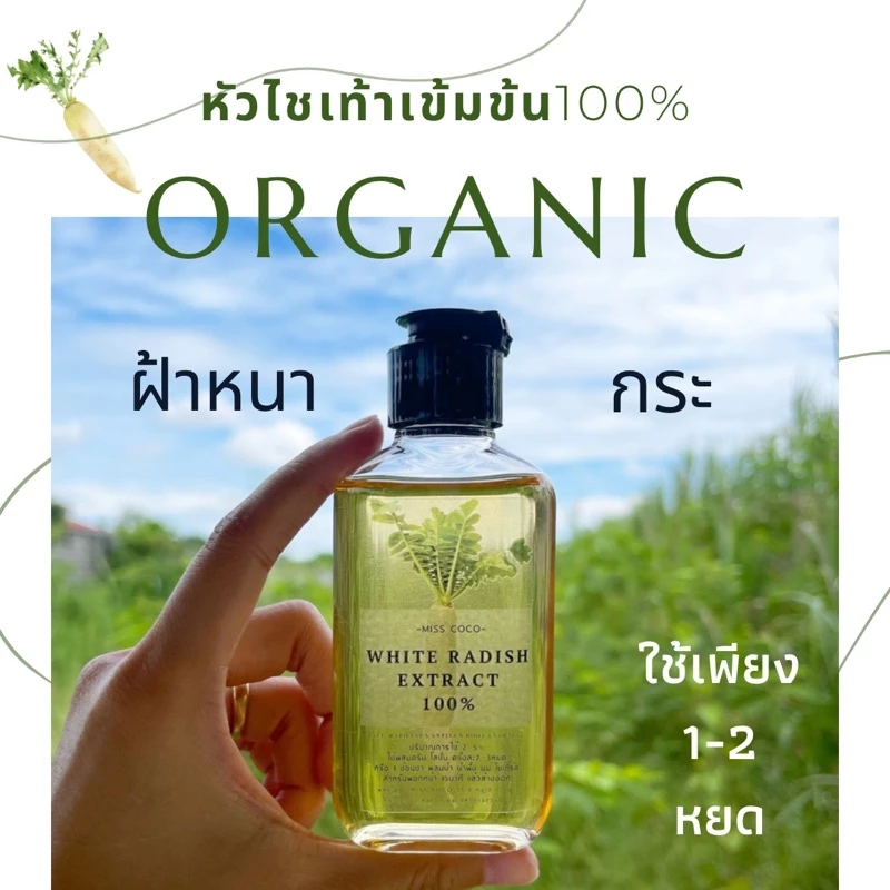 หัวไชเท้าออร์แกนิคสกัดเย็น100% เช็ดฝ้าก่อนทาครีม ผสมครีม สลายฝ้ากระ