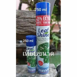 Chrysal Leaf Shine สเปรย์ฉีดใบมัน ขนาด 750 ml กระป๋องใหญ่สุด ของแท้แน่นอน ส่งไวครับ