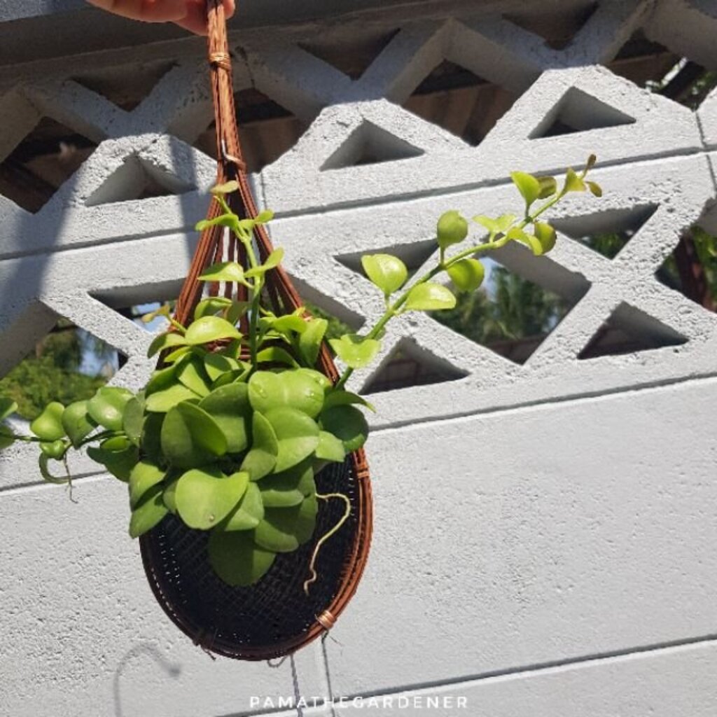 มุมมอง 2