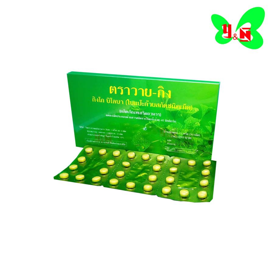 Y-GINK วายกิง ใบแป๊ะก๊วยสกัดชนิดเม็ด กิงโกะ บิโลบา (1 กล่อง 30 เม็ด)