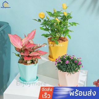 Enjoymore กระถางต้นไม้ กระถางต้นไม้พร้อมถาดรอง