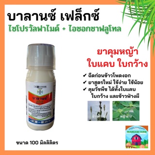 บาลานซ์เฟล็กซ์ 100ml.  กำจัดหญ้าใบแคบ ใบกว้าง ข้าวฟ่างผี ข้าวโพดผี ยาฆ่าหญ้าในข้าวโพด