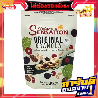 เนเจอร์ เซ็นเซชั่น ออริจินอล กราโนล่า 454 กรัม Natures Original Granola 454 g