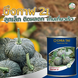 เมล็ดฟักทองบึงกาฬ21 (100กรัม) เมล็ดพันธุ์ เมล็ดพันธุ์ผัก เมล็ดพันธุ์พืช ผักสวนครัว ตราเจียไต๋