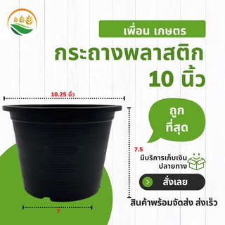 กระถางต้นไม้พลาสติก กระถางแคคตัส กระถางราคาโรงงาน ขนาด 10 นิ้ว สีดำ