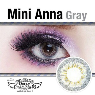 Sale ล้างสต็อค  คอนเเทคเลนส์ สี Mini anna gray