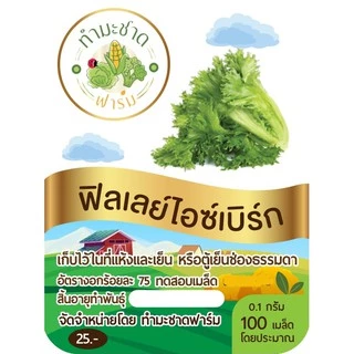 ทำมะชาดฟาร์ม (ซื้อ10แถม1) เมล็ดพันธุ์ ฟิลเลย์ไอซ์เบิร์ก ขนาด0.2กรัม ประมาณ200เมล็ด FRILLICE ICEBERG ฟินเล่ ฟิลเลย์