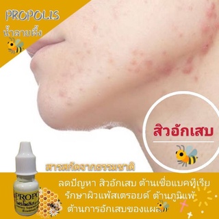 โพรโพลิส Propolis สารอาหารจากธรรมชาติที่ดีที่สุด