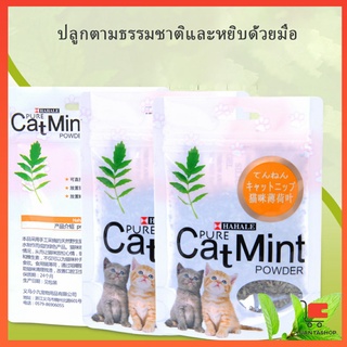 ผงแคทนิป &amp; ผงมาทาทาบิ ซองซิบ "พลาสติก"  ของแท้ 100% โรยของเล่นแมว 5g (พร้อมส่ง) ลูกบอลแมว Catnip