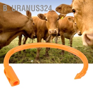 B_Uranus324 🐮🐮Hl-Q5 แหวนจมูกวัว พลาสติก อุปกรณ์เสริม ทนทาน สําหรับฟาร์มวัว 3 ชิ้น