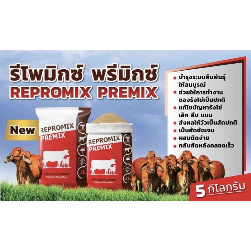 รีโพมิกซ์ พรีมิกซ์ Repromix Premix วิตามินอาหารเสริมวัว ช่วยให้วัวผสมติดง่าย กลับสัดเร็ว สมบูรณ์ ขนา