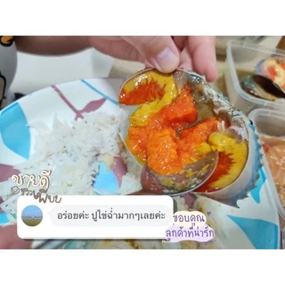 (วันที่ได้รับสินค้าแจ้งในแชท) ส่งฟรี✅ เซ็ตปูไข่ดองล้วนๆส่งฟรีทั่วประเทศ ไซส์ M 5กล่อง แถมน้ำจิ้มซีฟู้ด