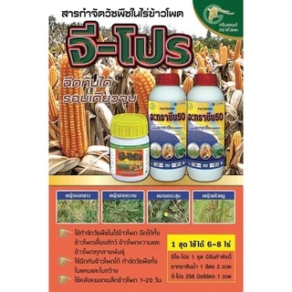 จีโปร ชุดสารคุม-ฆ่า หญ้าในไรข้าวโพด ชุดเดียวจบ ฉีดหลังปลูก 15 วัน #จีโปร #เคมีเกษตร