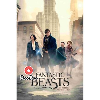 หนัง DVD Fantastic Beasts and Where to Find Them สัตว์มหัศจรรย์และถิ่นที่อยู่