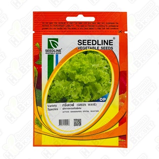 🌱 ซีดไลน์ 🇹🇭 ผักกาดหอมคัดพิเศษ กรีนเวฟ ขนาดบรรจุประมาณ 4000 เมล็ด อายุเก็บเกี่ยว 55-60 วัน