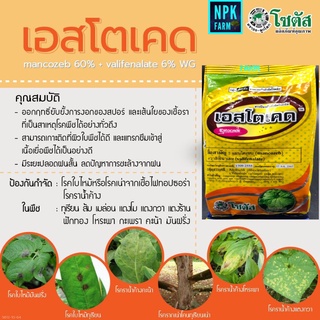 เอสโตเคด 100 กรัม เอสโตเคต แมนโคเซบ+วาลิฟีนาเลท สูตร 2 ตัวบวก โซตัส ป้องกัน และกำจัด ราน้ำค้าง โรคใบไหม้ ใบลาย ใบจุด