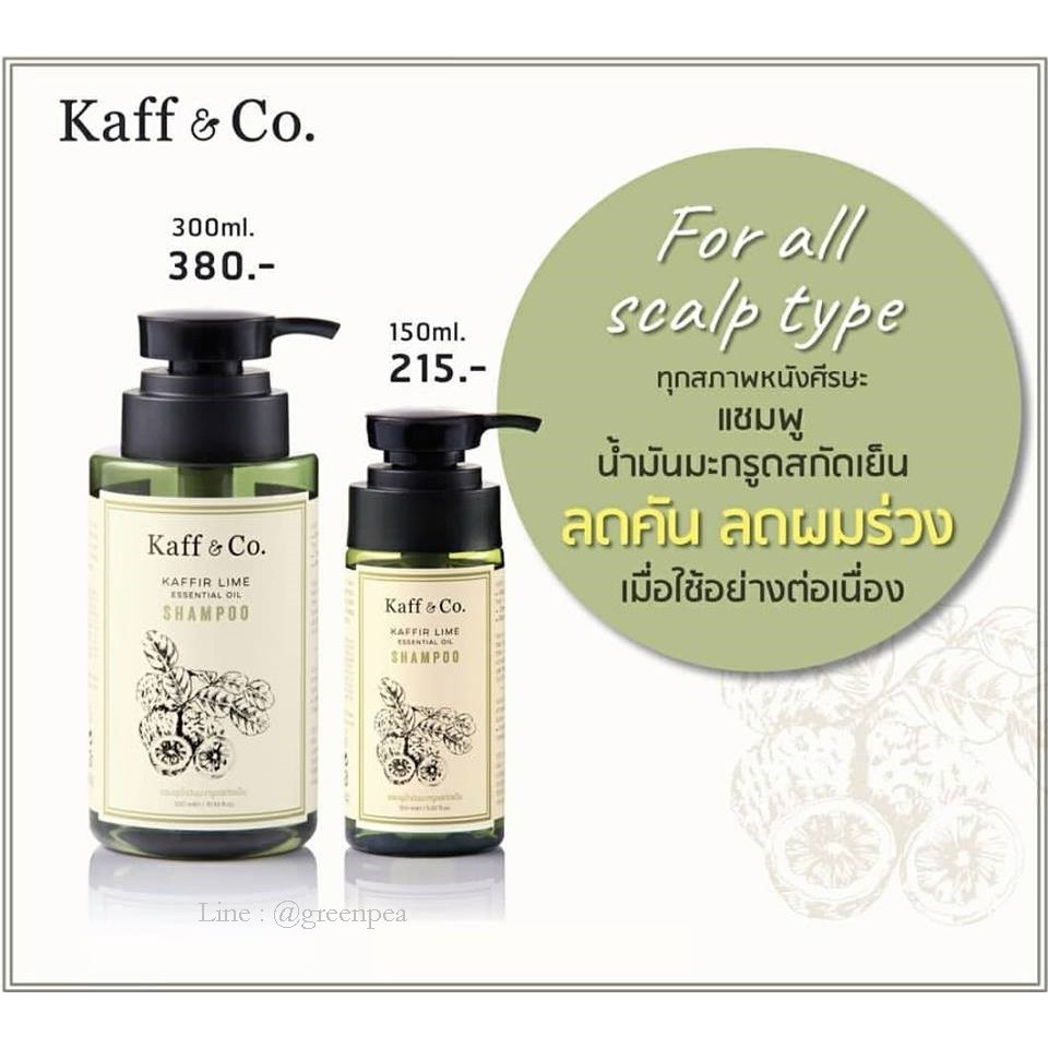 Kaff&Co แชมพูน้ำมันมะกรูดสกัดเย็น สำหรับผมร่วง คัน หงอก Shampoo Kaffir Lime Essential Oil