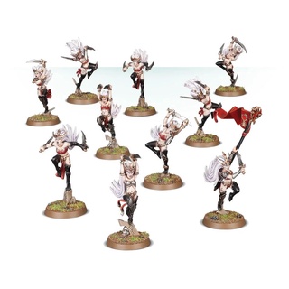 Warhammer AOS : Daughters of Khaine : Witch Aelves x5