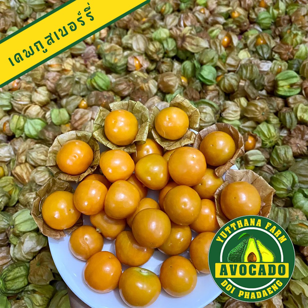 รูปภาพ 4