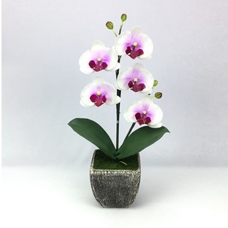 OrientalFineArt ดอกไม้ปลอม กล้วยไม้ปลอม phalaenopsis สีred lavender จัดในกระถางสำหรับประดับตกแต่งบ้าน