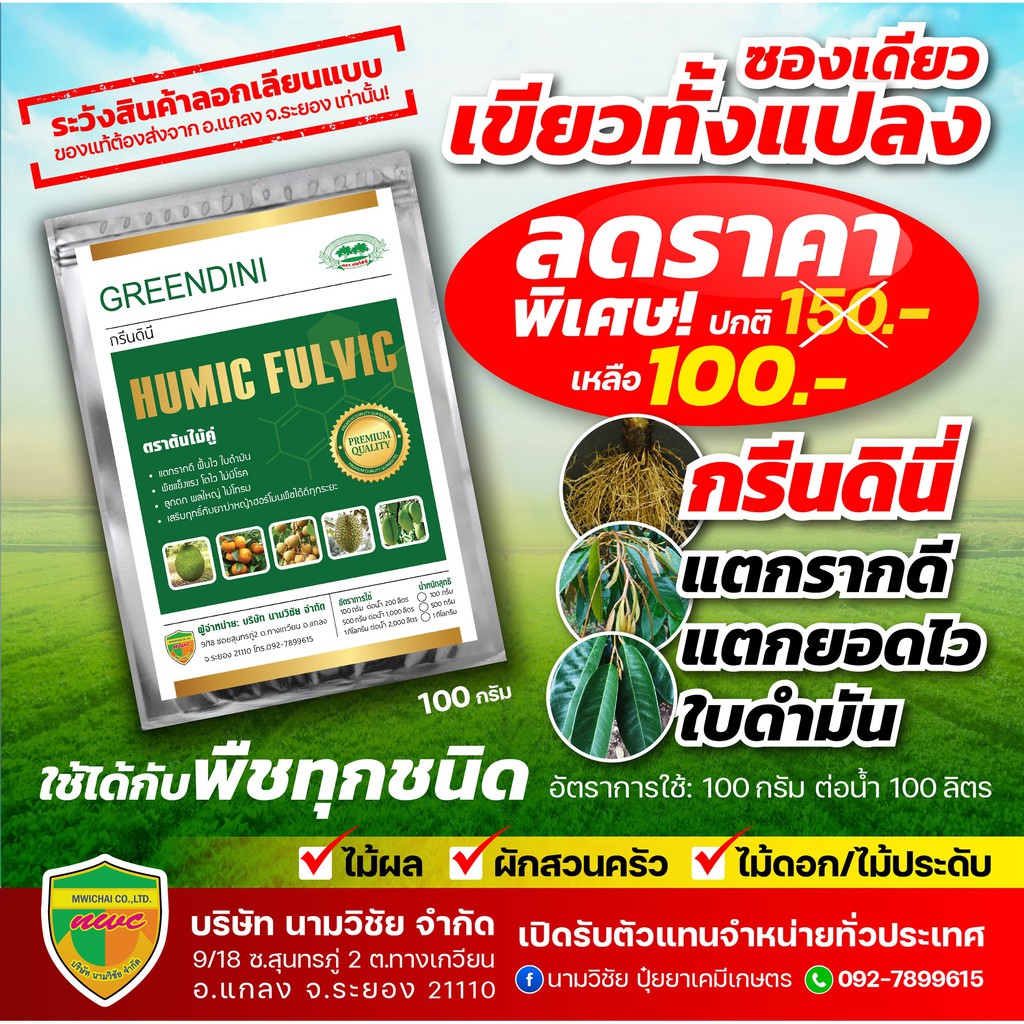 กรีนดินี่ ซองเดียวเขียวทั้งแปลง ขนาด 100 กรัม เร่งต้น เร่งใบ  ใบใหญ่ ใบหนา ใบดำมัน ฟื้นต้นโทรม ใช้ได้กับพืชทุกชนิด