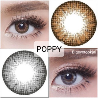 💟 Pitchylens Poppy brown gray Contactlens บิ๊กอาย คอนแทคเลนส์ ราคาถูก แถมตลับฟรี