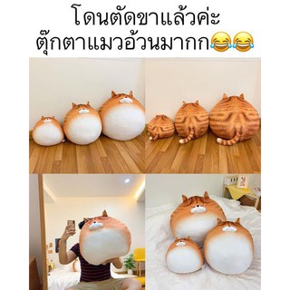 หมอนแมวอ้วน 🤣🤣 แมวเบาหวาน เป็นแมวสายพันธุ์บะลุกอุกอัก เจ้านายเลี้ยงดีไปหน่อย จากแมวกลายเป็นหมูแย้วววว เหมียว~