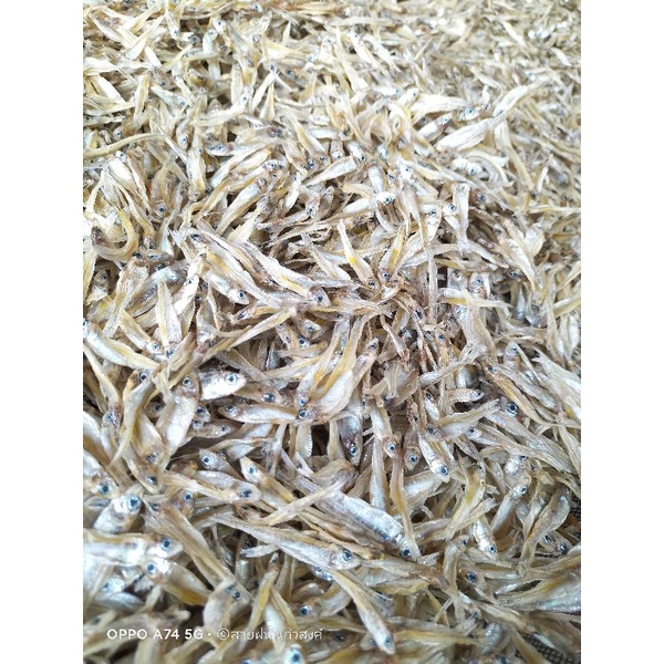 ปลาซิวแก้วเขื่อนสิริน จ.อุบลราชธานีแห้งสนิท ขนาด  500