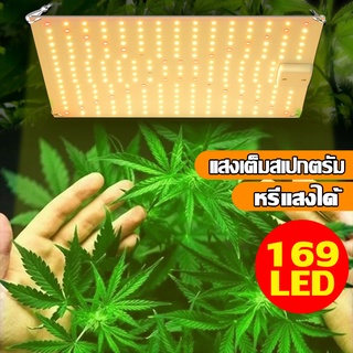 MSmile เติมแสงให้กัญชา ไฟปลูกต้นไม้ LED 169 ไฟปลูกพืช เต็มสเปกตรัม แสงอาทิตย์ ไฟปลุกต้นไม้ ไฟช่วยต้นไม้ตัวเร็ว D113