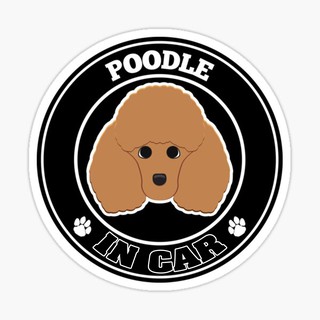 สติ๊กเกอร์ติดรถ แต่งรถ สติ๊กเกอร์ แม่เหล็กติดรถยนตร์ สติ๊กเกอร์หมา Poodle in Car  - DGC26