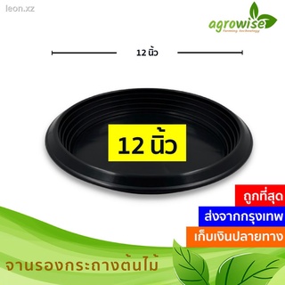 ถาดรองกระถางต้นไม้ จานรองกระถางต้นไม้ จานรอง 12 นิ้ว สีดำ