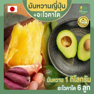 มันหวานญี่ปุ่น เบนิฮารุกะ  1 กก.  + อะโวคาโด จำนวน 6 ลูก AVOCADO HASS AUSTRALIA มันญี่ปุ่น  อะโวคาโด้ อะโวคาโดสด