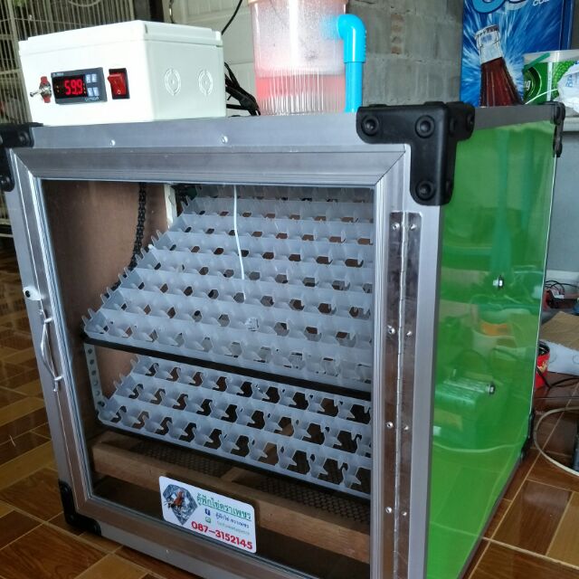 My Image 8