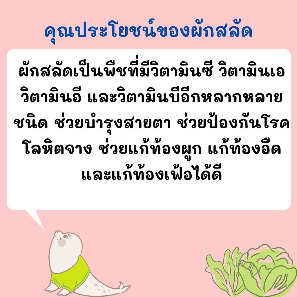 เมล็ดสลัด สลัด แกรนด์เรฟพิด (Grand Rapids Lettuce) 100เมล็ด เมล็ดพันธุ์แท้ นำเข้าจากต่างประเทศ ปลูกง่าย โตไว ขายดี ถูก - รูปที่ 2