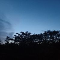 Profile anuchit_srechote