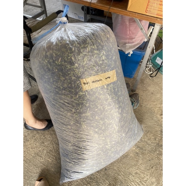 ดอกอัญชันแห้ง ธรรมชาติ100% เก็บสดใหม่ทุกวัน 1kg