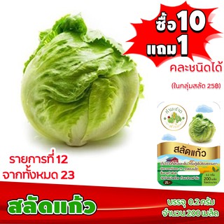 (ซื้อ10แถม1 ฟรีคู่มือ) เมล็ดพันธุ์ สลัดแก้ว ICEBERG (0.2 กรัม 200 เมล็ด) ผักกาดแก้ว ทำมะชาดฟาร์ม  ผักสลัด