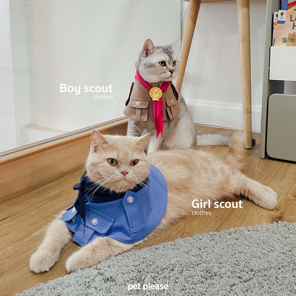 (พร้อมส่ง ได้ทั้งเซ็ต) ชุดลูกเสือ ชุดยุว ชุดแมว ชุดแมว l petplease เสื้อแมว ชุดแมว หมา สุนัข
