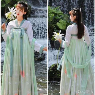 เครื่องแต่งกายโบราณ Hanfu หญิงฤดูใบไม้ร่วงสไตล์จีนปักกระโปรงหน้าอกเต็มไล่ระดับ