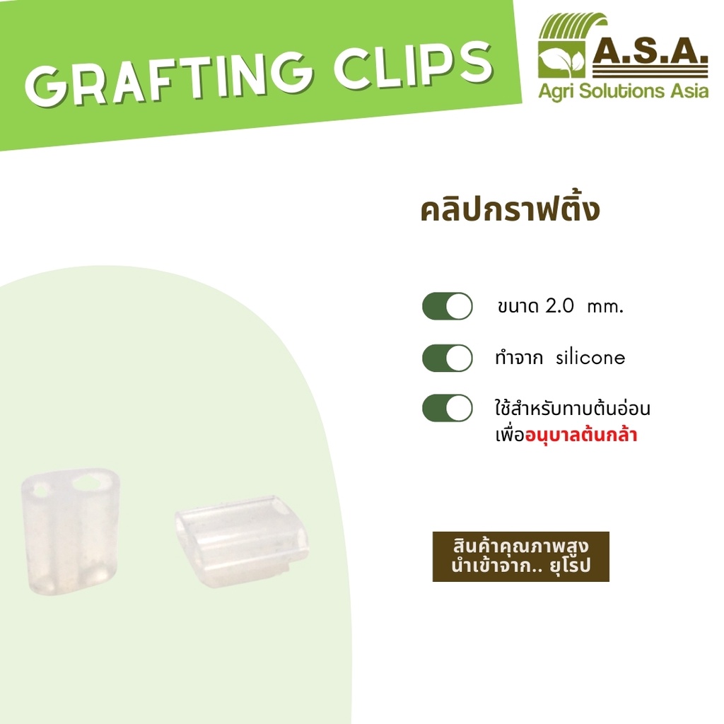Grafting clips (กราฟติ้งคลิป) 100 ชิ้น รูปที่ 4
